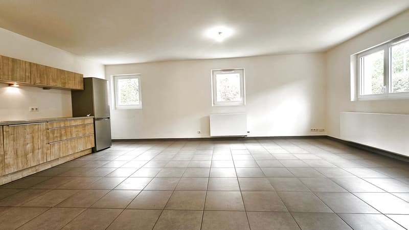 Peron, T3 de 76m2 avec terrasse/jardin 103m2, cave et 2 parkings (3)