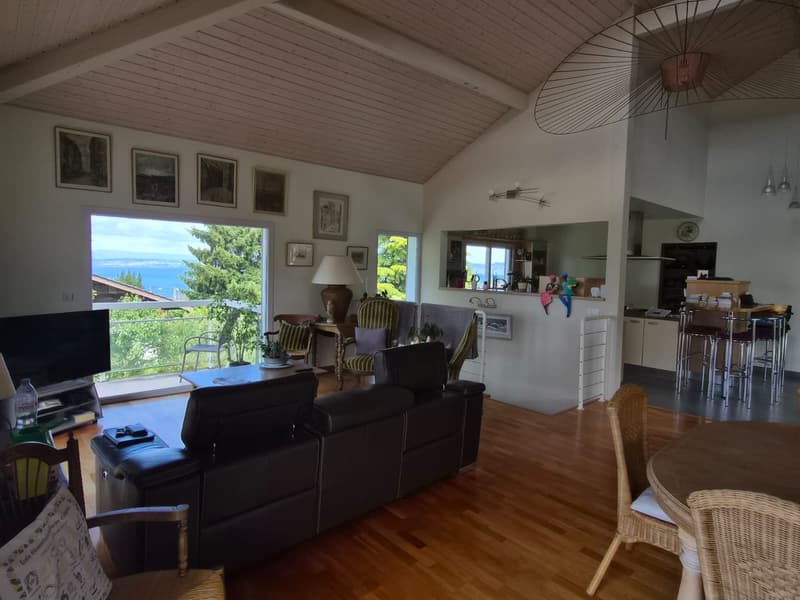 Maison individuelle 170 m2 sur les hauteurs d'Evian (5)