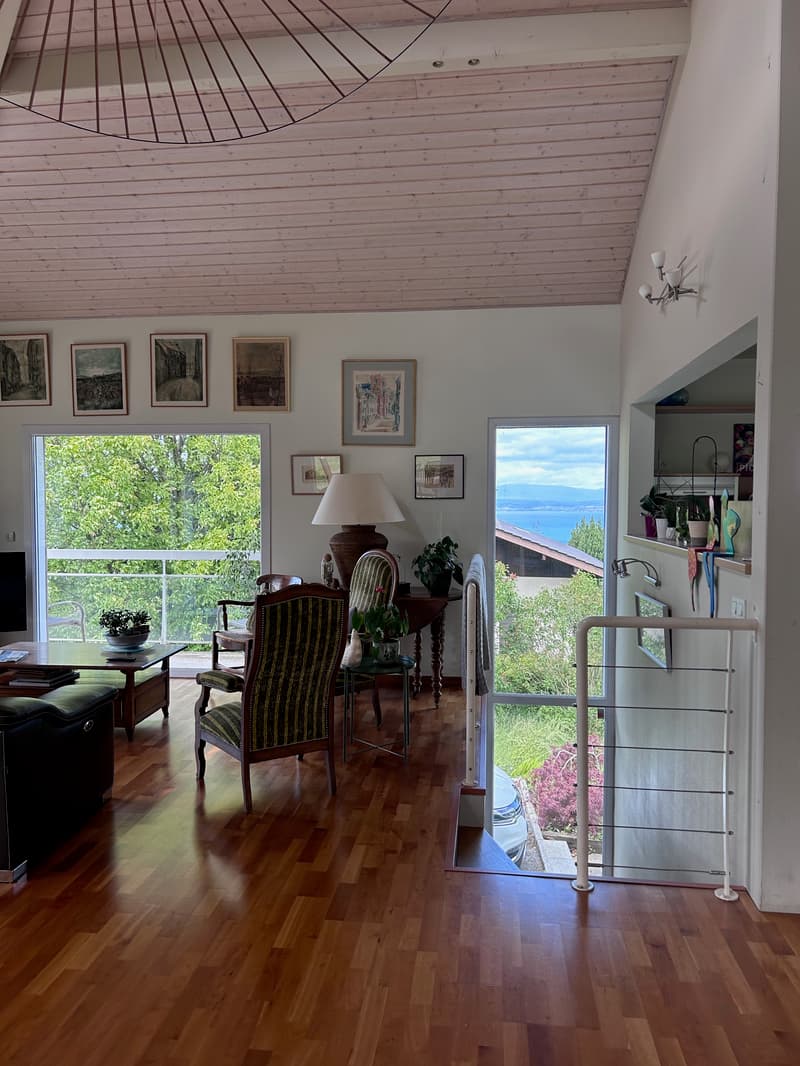 Maison individuelle 170 m2 sur les hauteurs d'Evian (10)