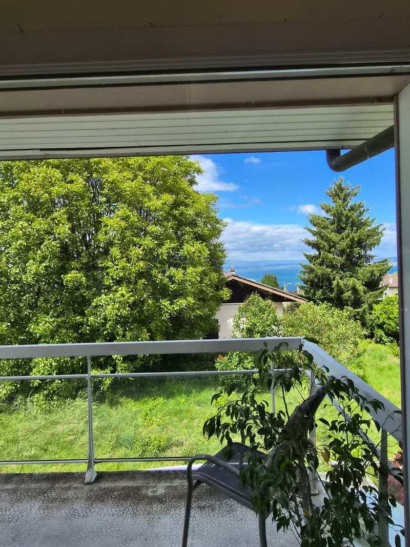 Maison individuelle 170 m2 sur les hauteurs d'Evian (3)