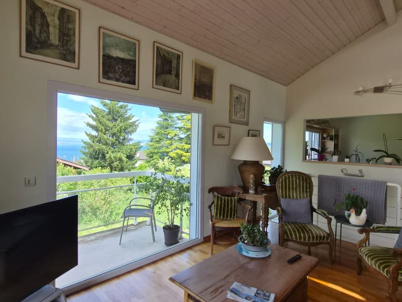 Maison individuelle 170 m2 sur les hauteurs d'Evian (4)