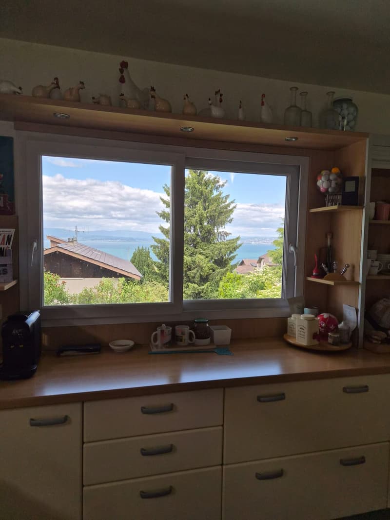 Maison individuelle 170 m2 sur les hauteurs d'Evian (7)