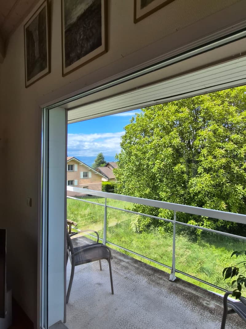 Maison individuelle 170 m2 sur les hauteurs d'Evian (2)