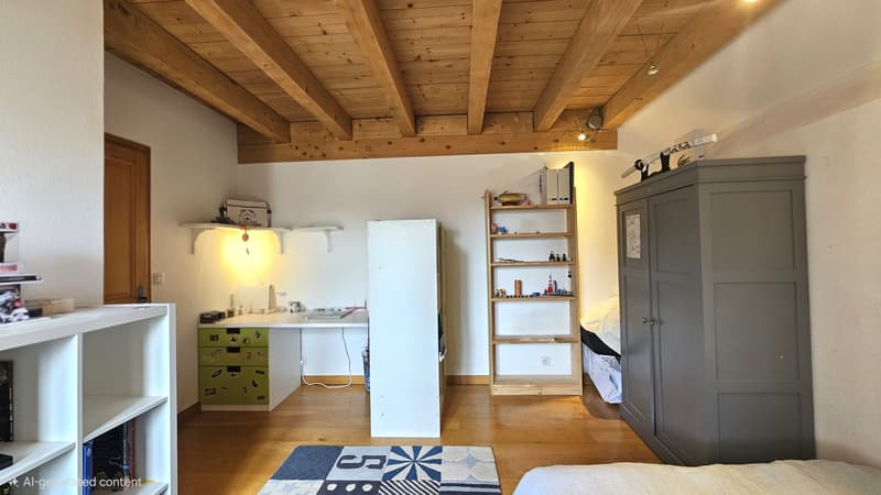 Prévessin-Moëns   Charmante maison villageoise en pierre de 220 m² habitable, à deux pas du centre (13)