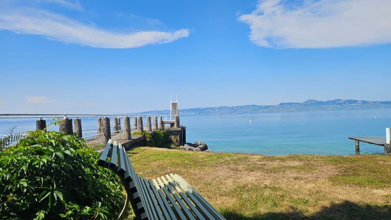 Une adresse confidentielle face au Léman... (2)