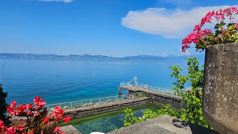 Une adresse confidentielle face au Léman... (1)