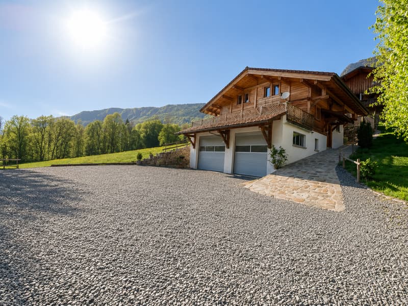 Magnifique chalet avec 110 m² de garages et vue panoramique sur les montagnes (1)