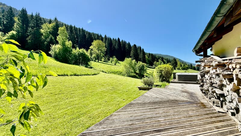 Maison de 303 m² sur 1300 m² à Mijoux (7)
