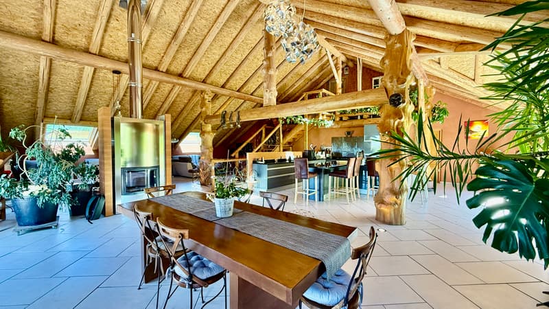 Maison de 303 m² sur 1300 m² à Mijoux (3)