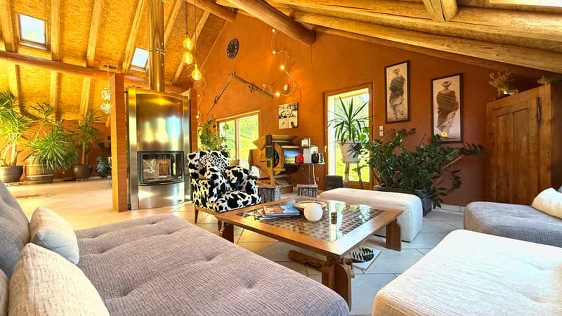 Maison de 303 m² sur 1300 m² à Mijoux (10)