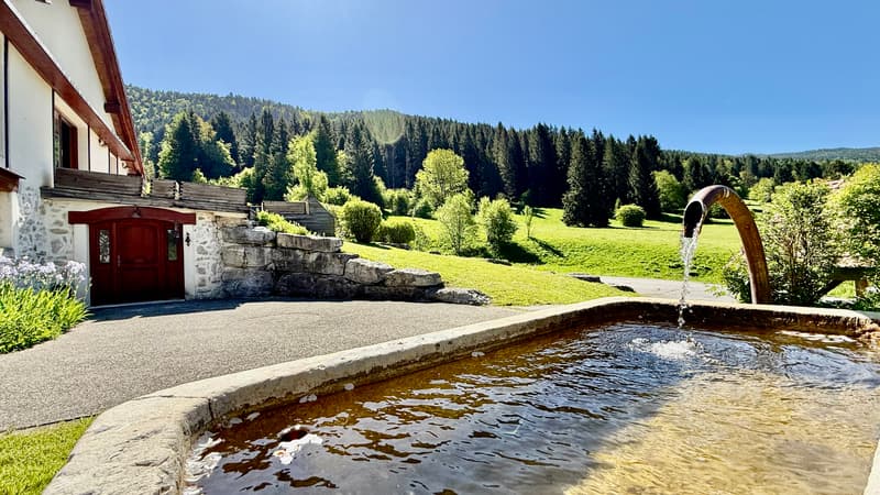 Maison de 303 m² sur 1300 m² à Mijoux (2)