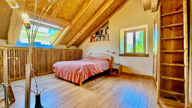 Maison de 303 m² sur 1300 m² à Mijoux (13)
