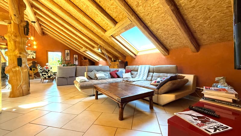 Maison de 303 m² sur 1300 m² à Mijoux (5)