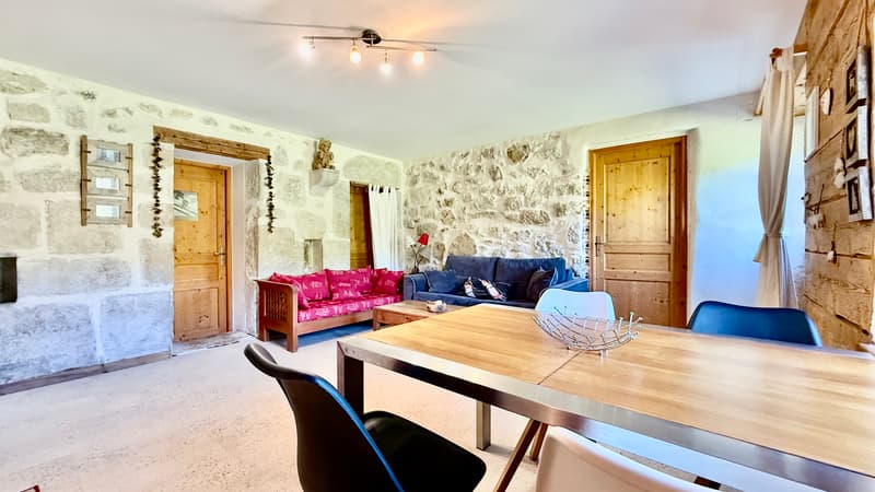 Maison de 303 m² sur 1300 m² à Mijoux (4)