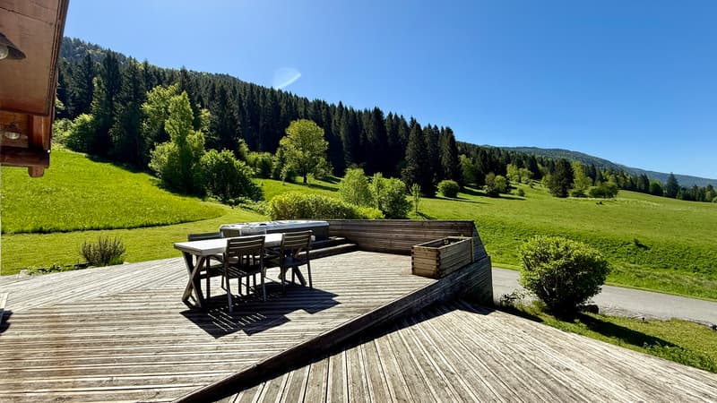 Maison de 303 m² sur 1300 m² à Mijoux (6)