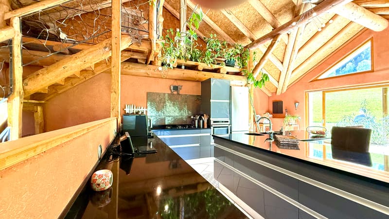 Maison de 303 m² sur 1300 m² à Mijoux (12)