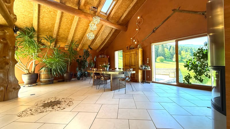 Maison de 303 m² sur 1300 m² à Mijoux (9)