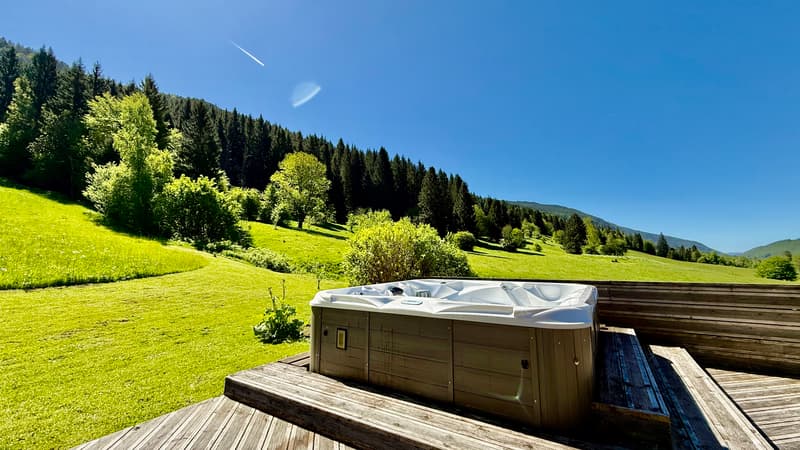 Maison de 303 m² sur 1300 m² à Mijoux (1)