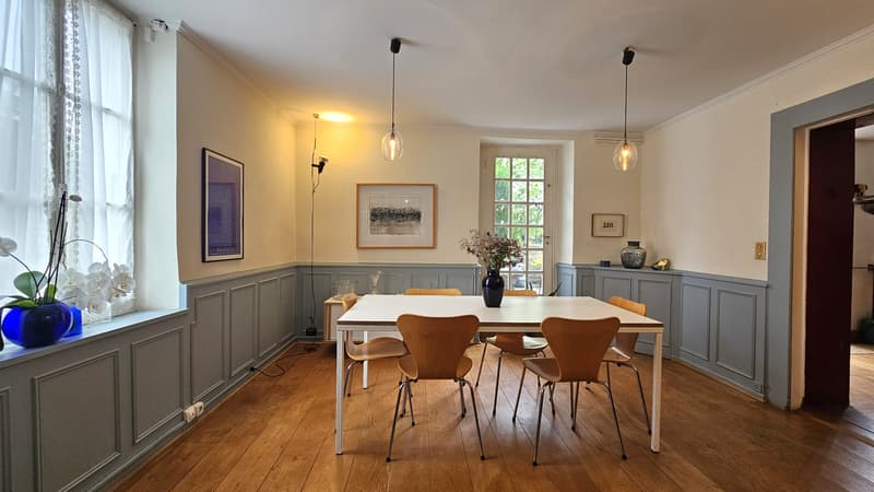 Centre Ferney, maison de 200m2 + dépendance de 41m2 sur terrain de 1590m2 (5)