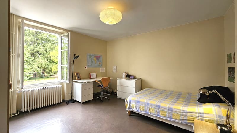 Centre Ferney, maison de 200m2 + dépendance de 41m2 sur terrain de 1590m2 (10)