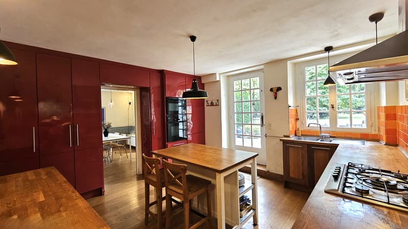 Centre Ferney, maison de 200m2 + dépendance de 41m2 sur terrain de 1590m2 (8)