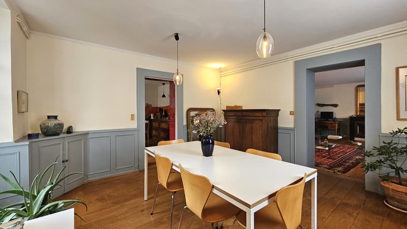 Centre Ferney, maison de 200m2 + dépendance de 41m2 sur terrain de 1590m2 (6)
