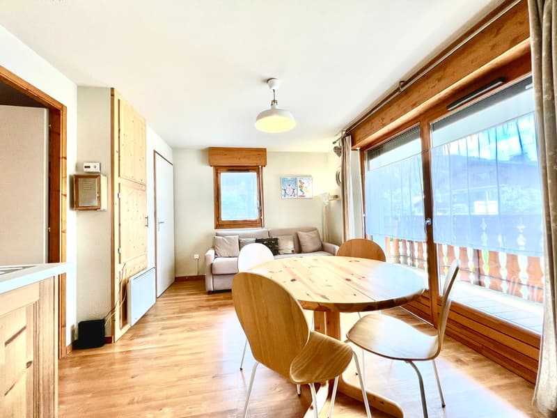 Appartement meublé aux Gets (1)