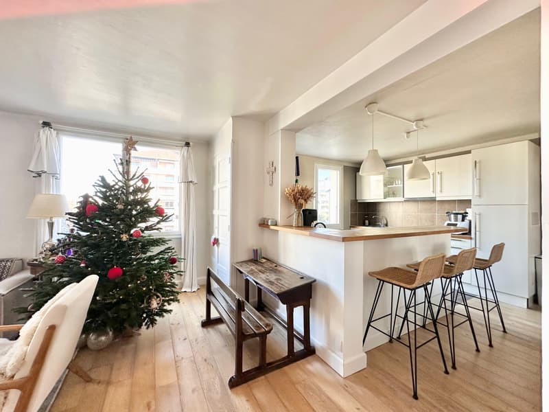 Triangle d'Or Grand appartement 133 m² (4)