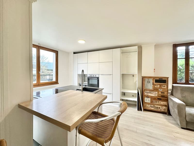 Charmant appartement à Cran-Gevrier !!! (6)