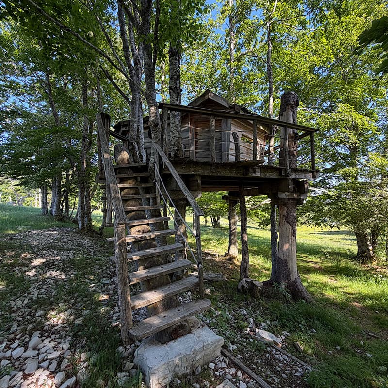 DOMAINE TOURISTIQUE D'EXCEPTION AU COEUR DU PARC NATUREL DU HAUT-JURA (8)
