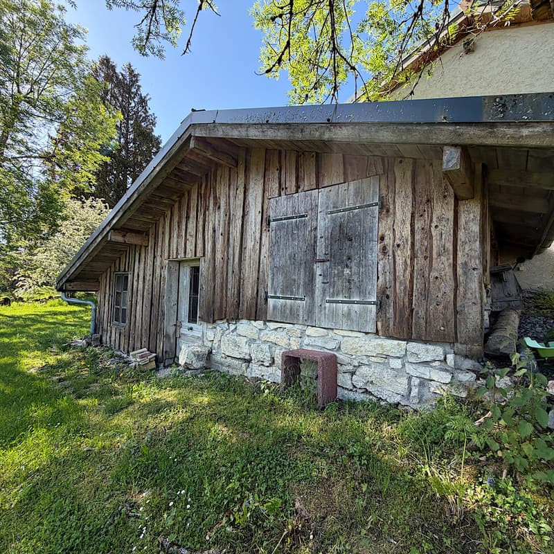 DOMAINE TOURISTIQUE D'EXCEPTION AU COEUR DU PARC NATUREL DU HAUT-JURA (7)