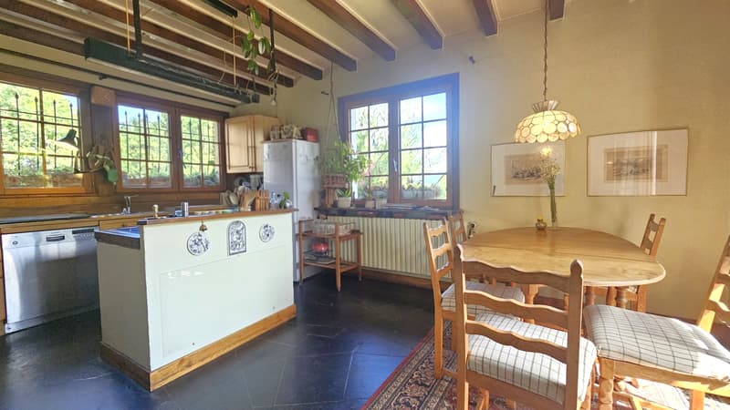 Propriété avec 2 maisons + sous-sol - Hauteur GRILLY Vue Mont-Blanc (11)
