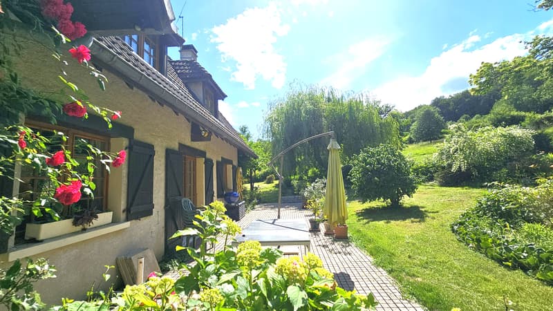Propriété avec 2 maisons + sous-sol - Hauteur GRILLY Vue Mont-Blanc (5)