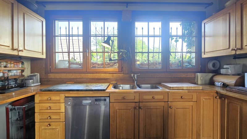 Propriété avec 2 maisons + sous-sol - Hauteur GRILLY Vue Mont-Blanc (12)