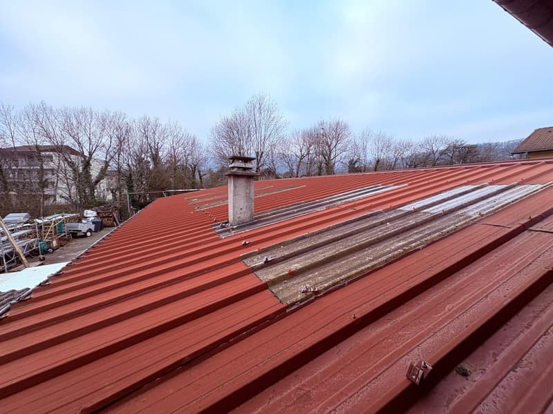 Propriété Multifonctionnelle avec Local Commercial, ENTREPOT, Garages et Partie Habitable   Proche Divonne-les (3)