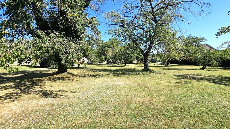 952m2 de terrain à bâtir pour 1 ou 2 maisons (6)