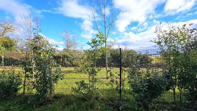 Divonne, 95m2, T4 de 2023, avec jardin/terrasse de 162m2 et 2 garages (2)