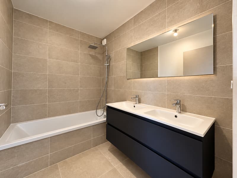 Duplex neuf avec terrasse, garage et parking Annecy-le-Vieux (4)