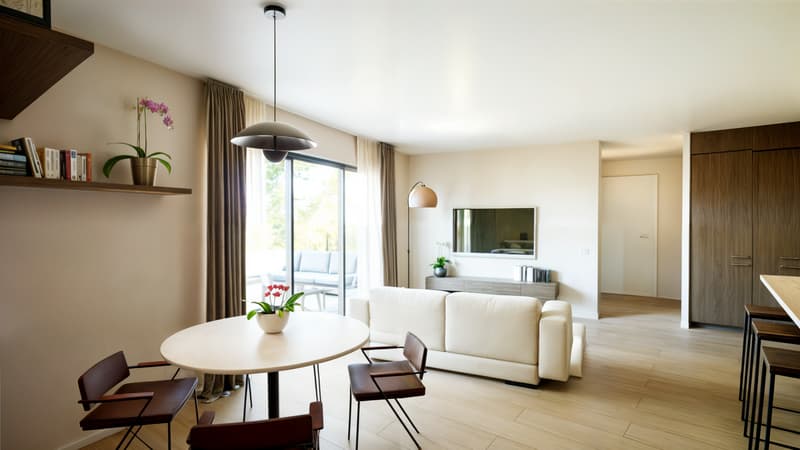 Rez-de-jardin vue Mont-Blanc (3)