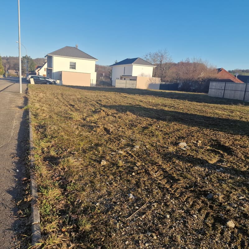 empty land with a slope, grass growing