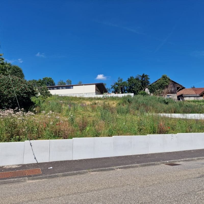 Flat land with white cement barrier, large overgrown area, blue sky, nearby road, trees in the background