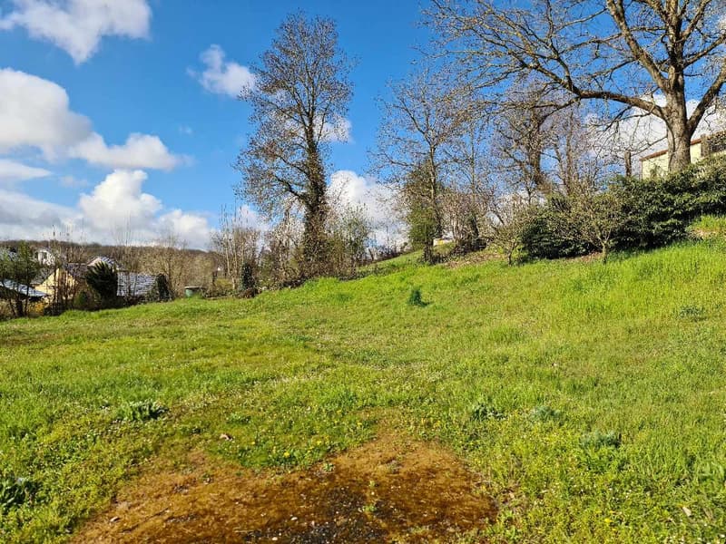 Open grassy area with trees, slope, distant buildings, clear blue sky, cloudy