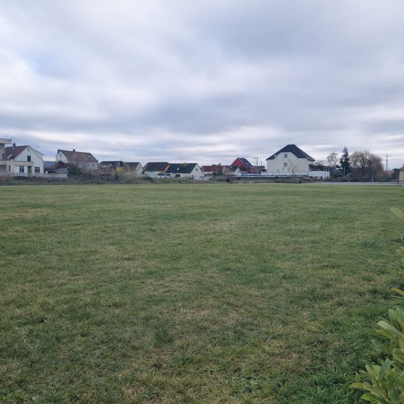flat area of brown grass