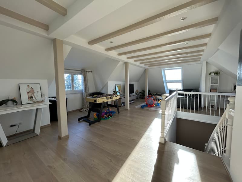 Prächtige 7-Zimmer-Familienvilla in Steinbrunn-le-Bas (10)