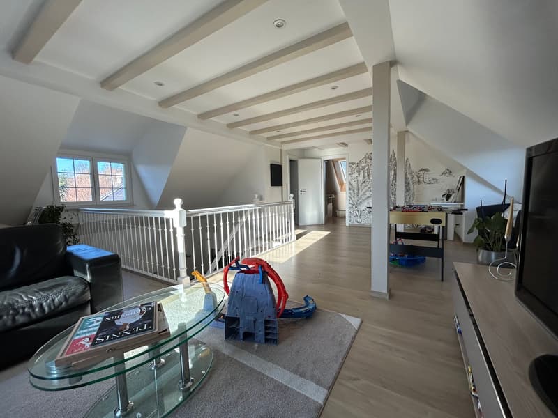 Prächtige 7-Zimmer-Familienvilla in Steinbrunn-le-Bas (6)