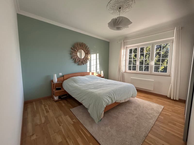 Prächtige 7-Zimmer-Familienvilla in Steinbrunn-le-Bas (5)