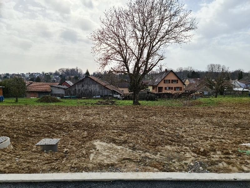 large field, residential houses, tree, houses with red roofs