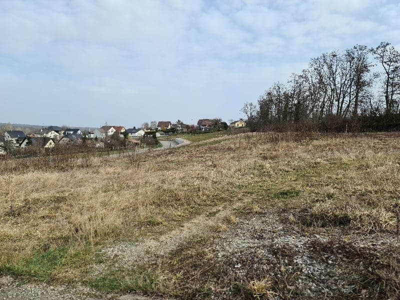 empty building plot with dry grass, few trees, distant houses in the background