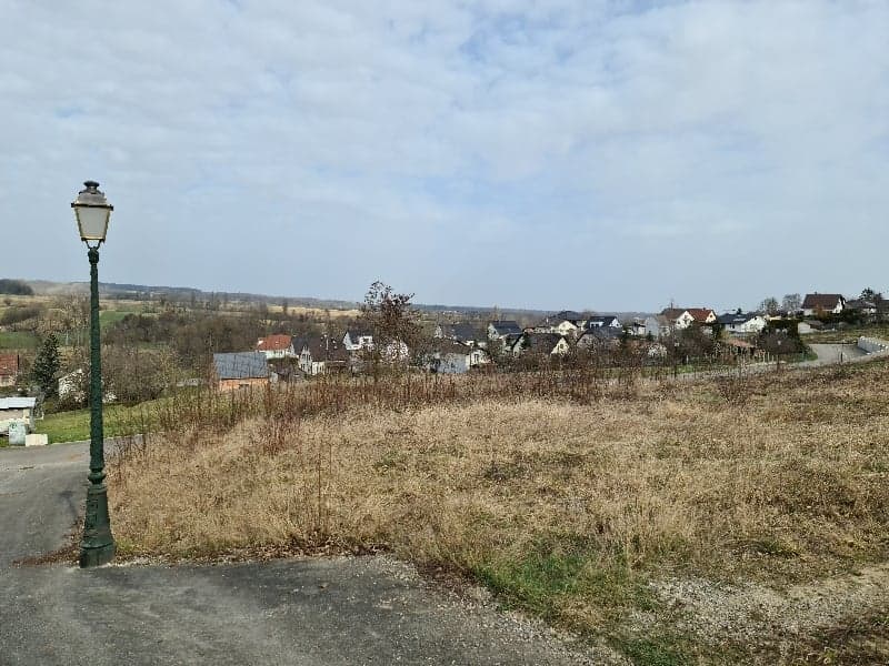 grassy field, lamppost, distant residential homes, cloudy sky