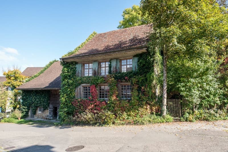 Farmhouse with outbuilding (1)
